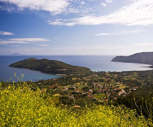 Lacona, Isola d'Elba